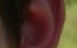 Minecraft G0ds